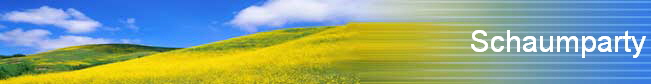 Schaumparty
