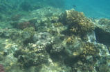 Hotel Korallenriff